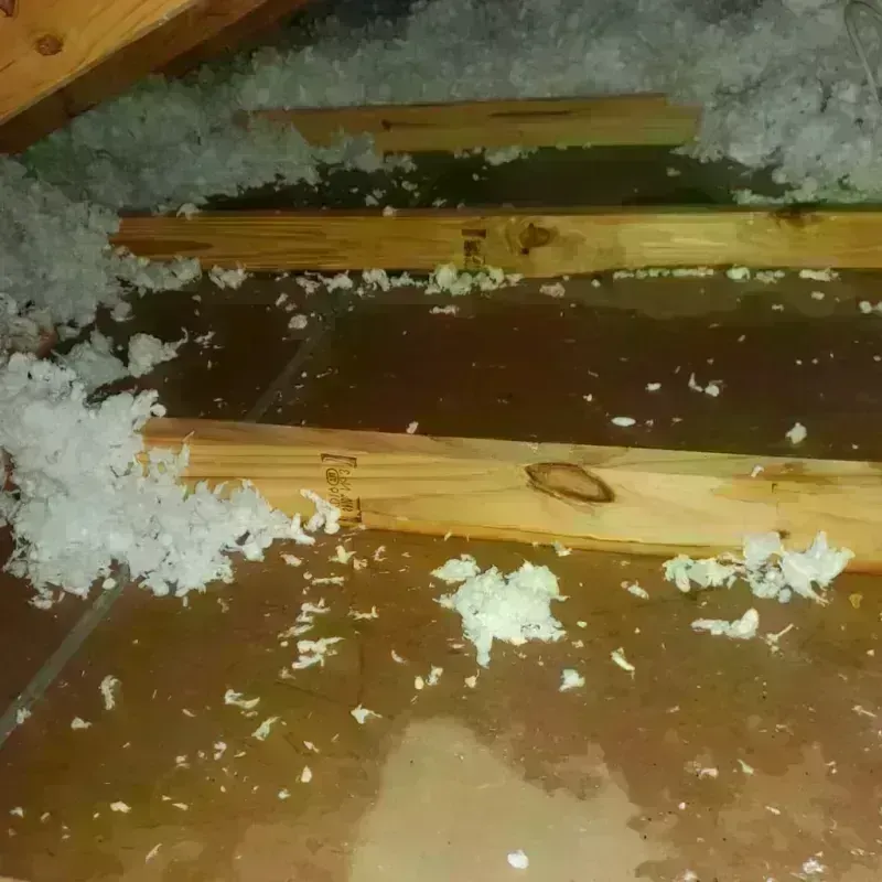 Attic Water Damage in Kearns, UT